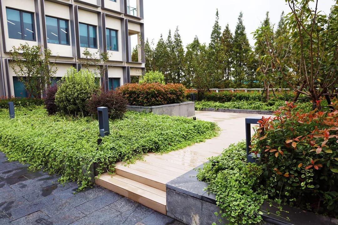 沪上“花园式”工地办公是怎样的体验?来看看这个白玉兰奖工程吧