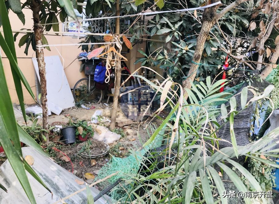 假山里住人！物业不作为，南京超级大盘终于要换物业了