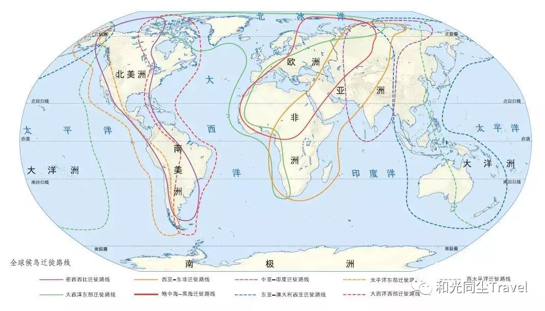 盐城世界第一大湿地,盐城黄海湿地世界遗产