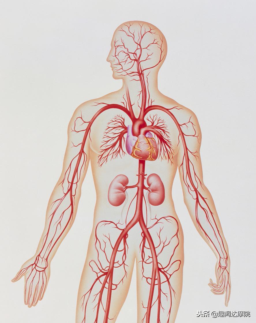 人体有七大弱点在哪里,人体缺陷的十大原因