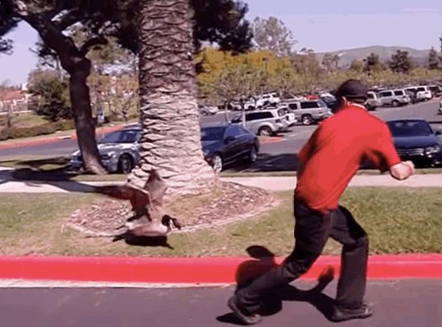 蛇为什么惧怕雄黄,蛇最害怕的雄黄是什么样子的