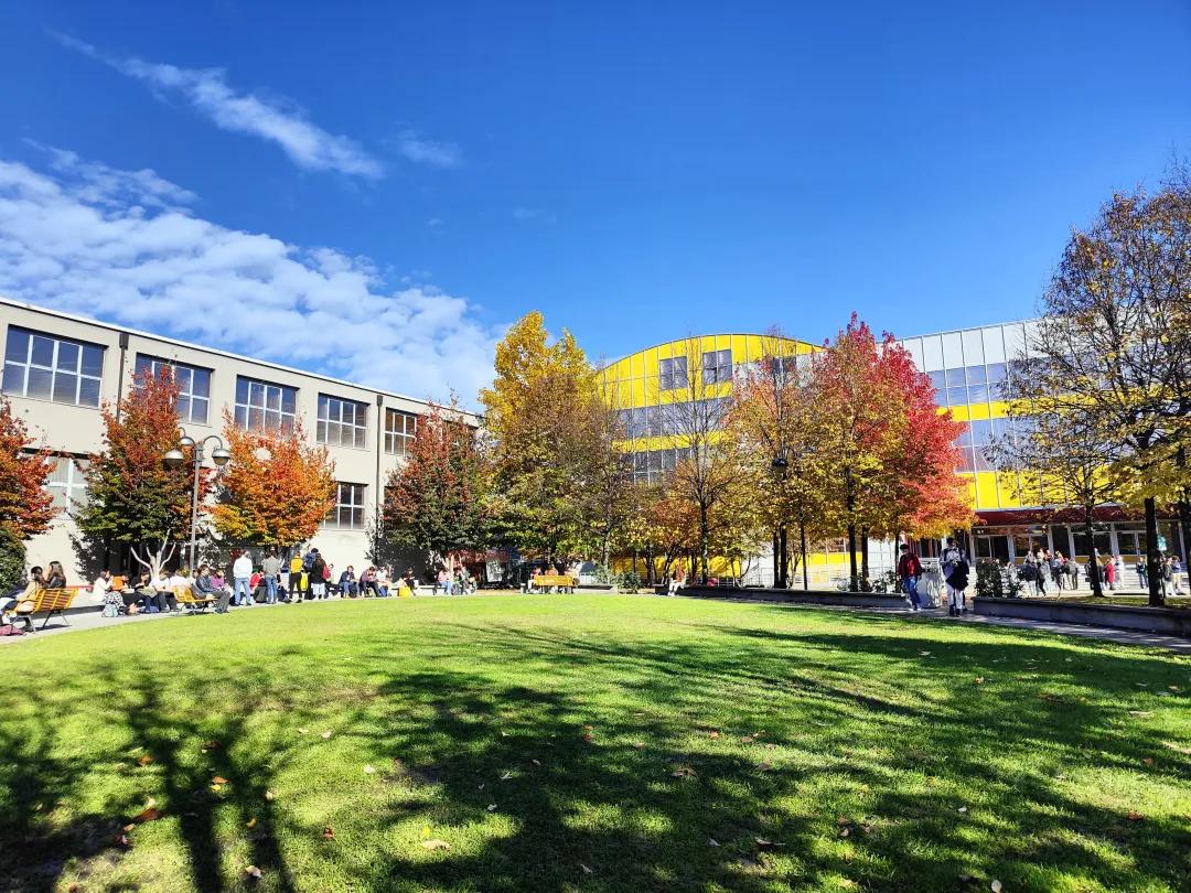 我来米理一个月，已经被老师搞哭了