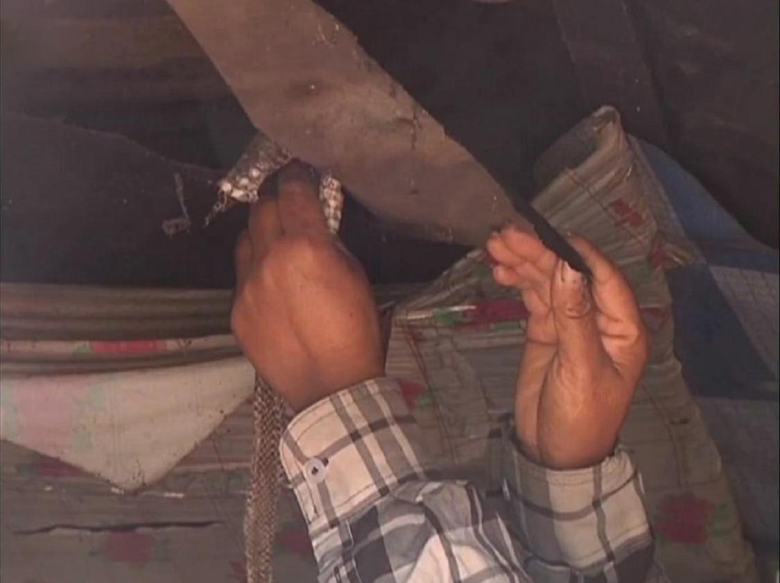 黑龙江省女子与蛇相处15年,黑龙江一女子与蛇共处十几年