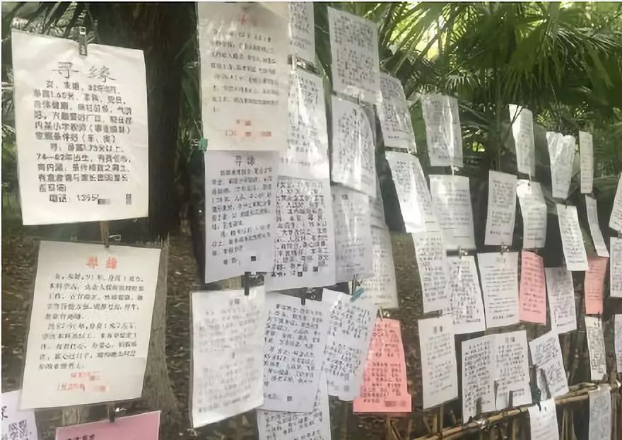 越来越多年轻人去成都重庆,大量年轻人到成都就业