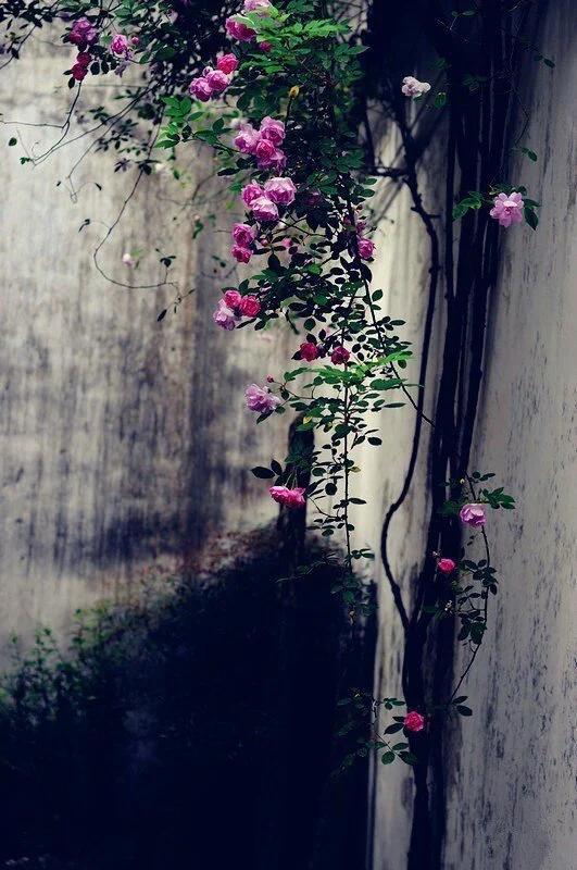 身为华夏子孙,百家姓的故事你不得不知