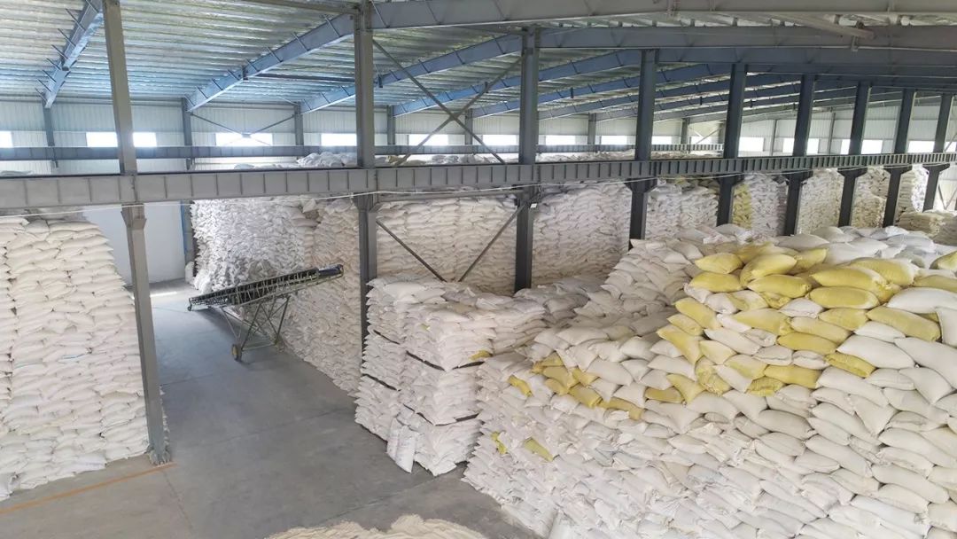 cips2019中国宠物展,cips宠物展直播