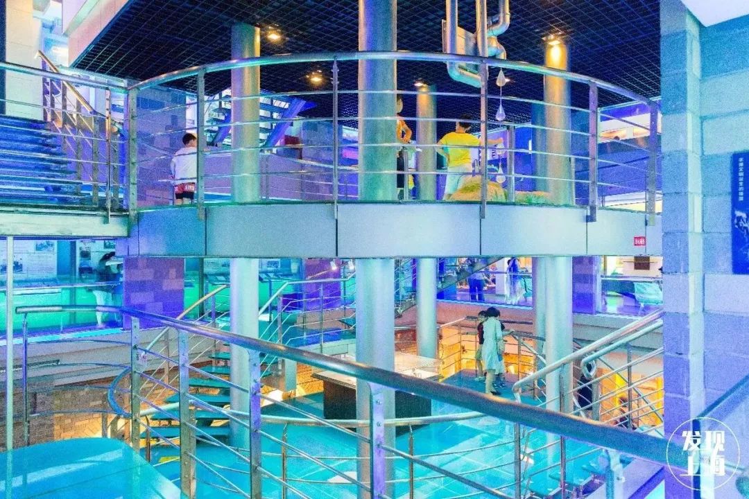 生日当天上海免费景点,上海网红打卡地点景点免费