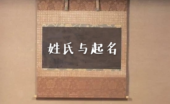 起名与姓氏文化的关系与区别,王与刘的姓氏结合起名