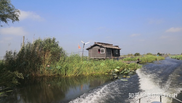 正宗阳澄湖大闸蟹几月份可以吃到,阳澄湖大闸蟹一般什么季节比较好