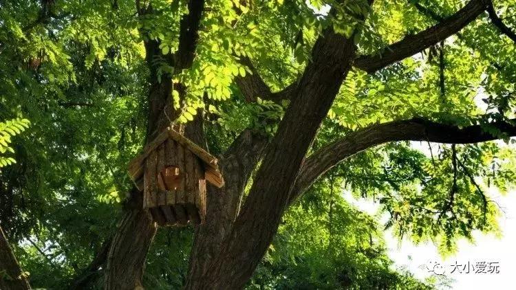 免费公园滑梯,六支沟滑滑梯公园