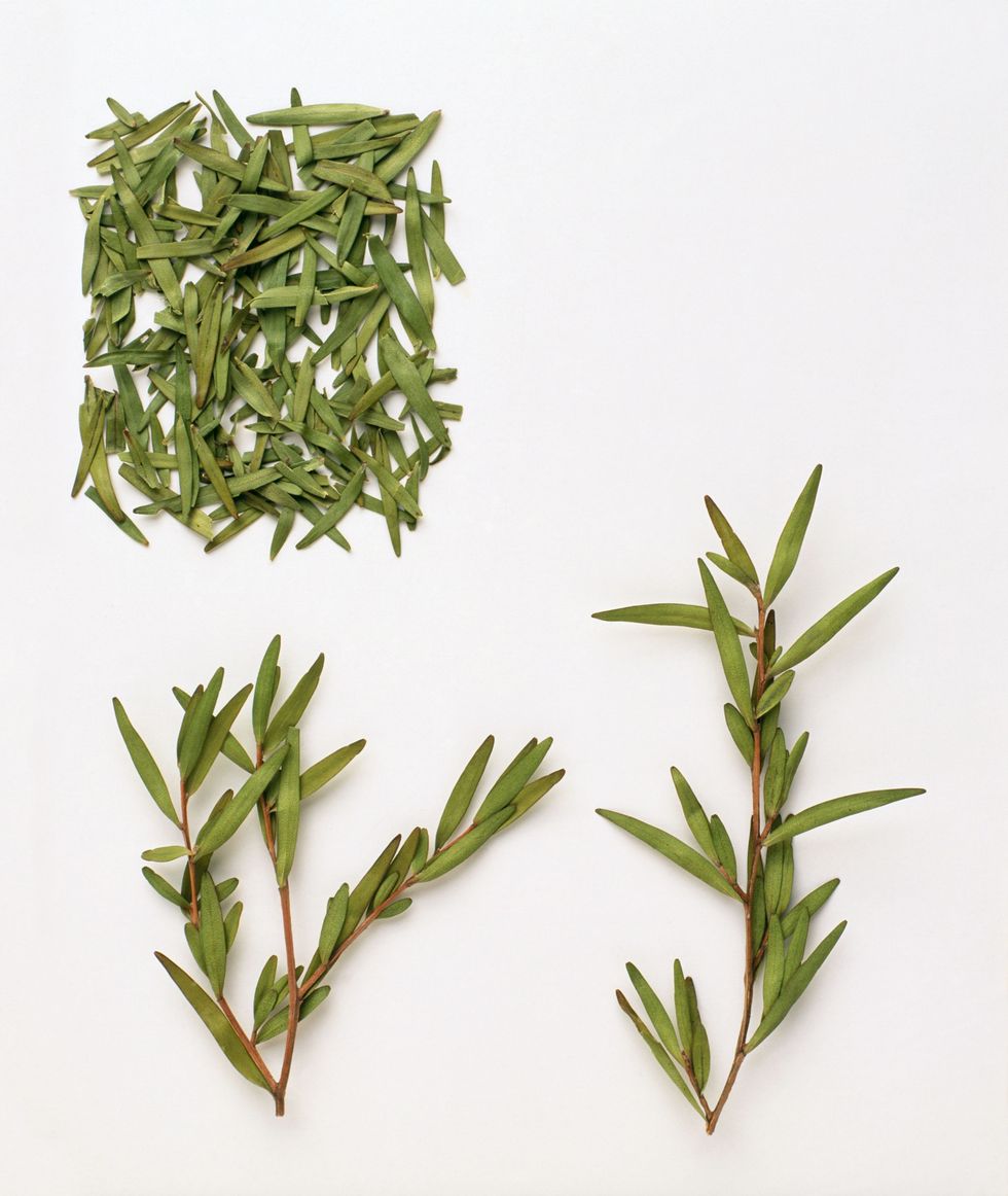 精油护肤独一无二的选择,挑护肤品去哪里看