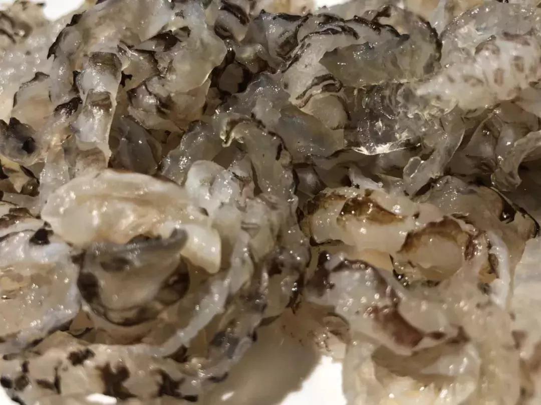 成都火锅店推荐蜀九香,武汉光谷地道四川火锅