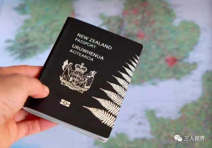 移民公司移民中介,移民中介和中移民的区别