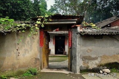 小孩偷枣被卡住,带孩子去自己家偷枣吃