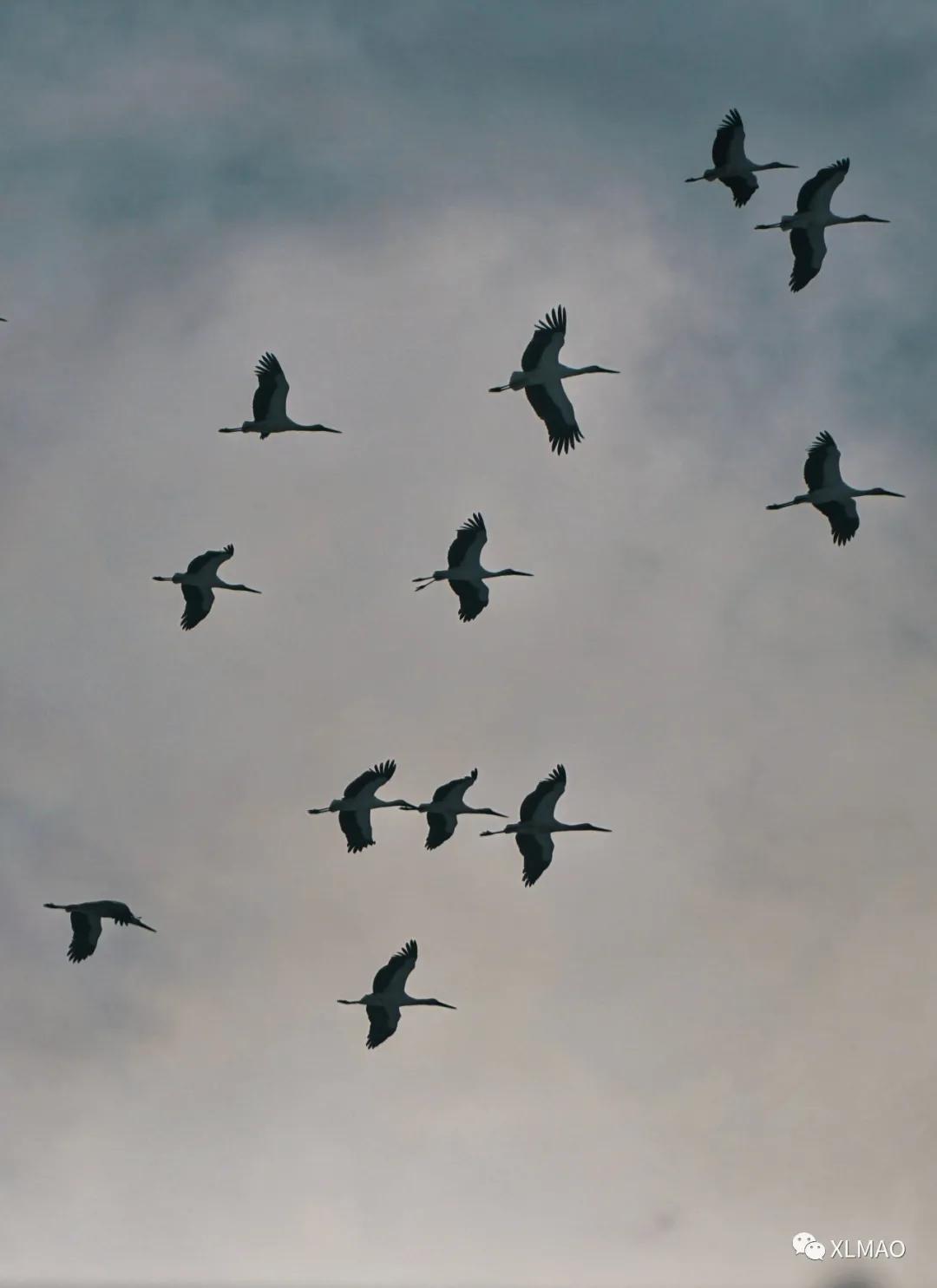 摄影爱好者的拍摄题材,一名业余摄影爱好者的简介