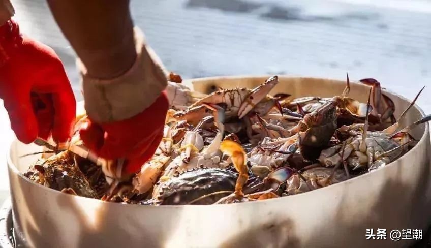 留住乡愁记忆的山居村落,乡愁记忆最美乡村风景