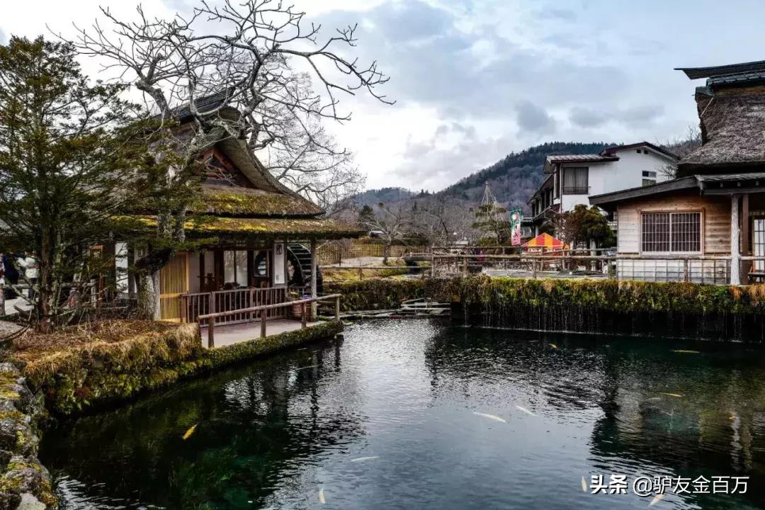 日本签证5月重大便利，“网申”在即！这个好吃好玩好买的地儿