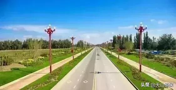 伟大的新疆,伟大的阿勒泰