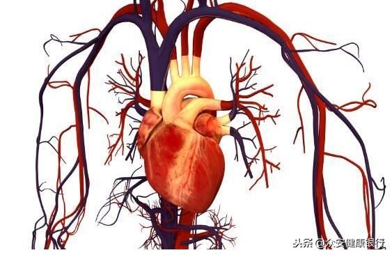 重磅级文章解读古老药物的新用途！