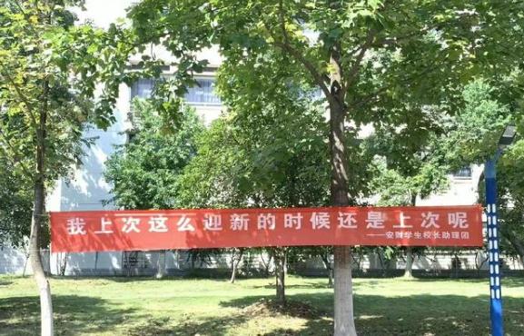 又是一年开学季，安徽财经大学迎新标语走红，每条都不让学生失望
