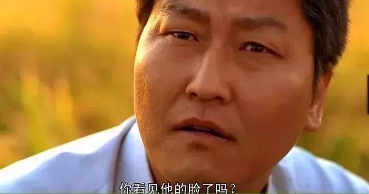 杀人回忆里凶手被抓,杀人回忆凶手抓到了么