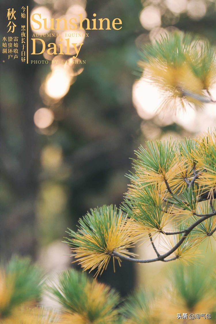 秋分一半热烈一半安详,秋分秋天分两半