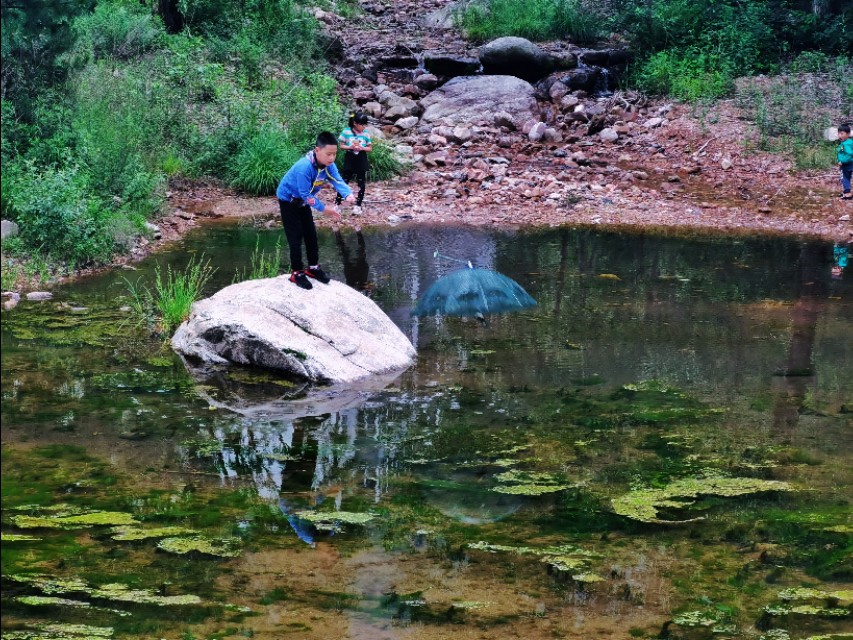 吃在驼梁，体验舌尖上的味道/郝贵云