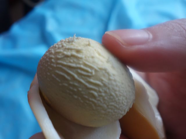 家喻户晓的“滚蛋疗法”真的能治病吗？看大家的反馈就知道了