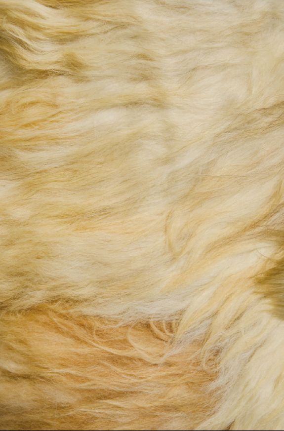 3s床垫哪家好,3s床垫多少钱一套