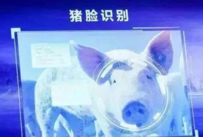 互联网巨头打响农业争夺战,腾讯农业新希望