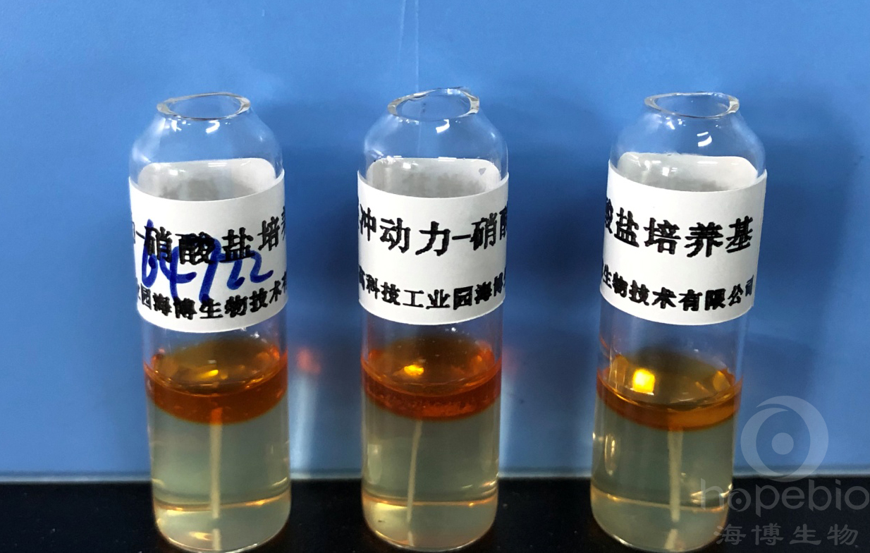 检测产气荚膜梭菌操作示意图,产气荚膜梭菌介绍