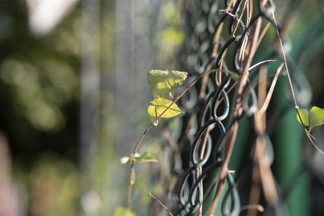 宾得da501.8评测,宾得星头是不是最好