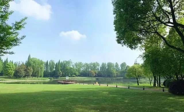 青城山环境幽静旅游的好地方,想住世外桃源