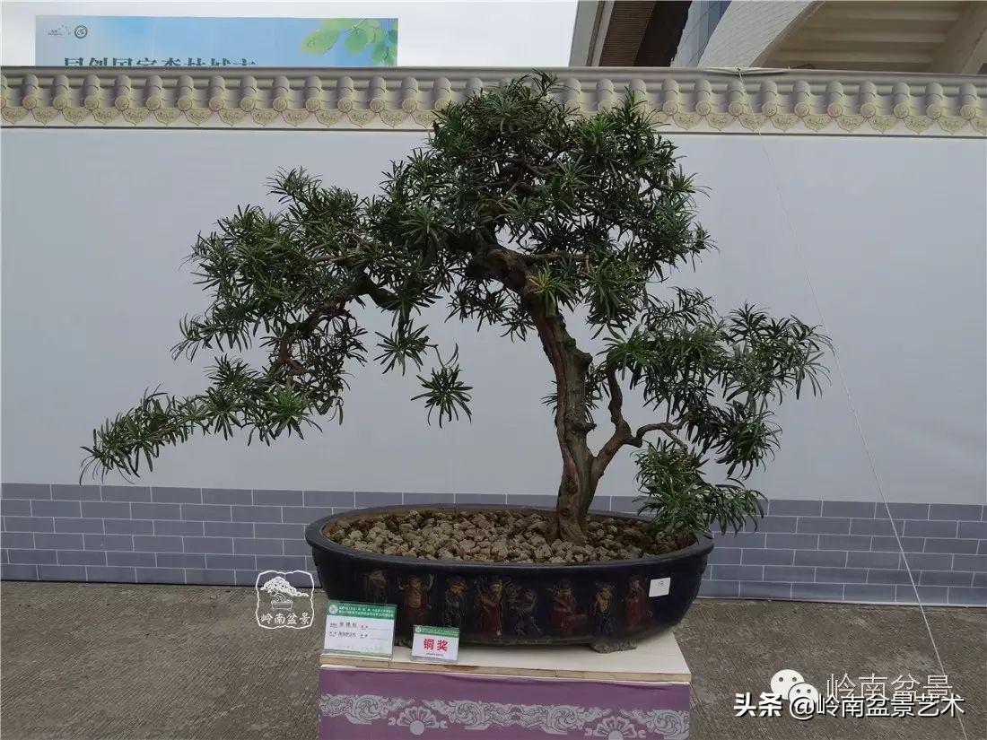 开运招财，非其莫属！清风雅韵，当之无愧！