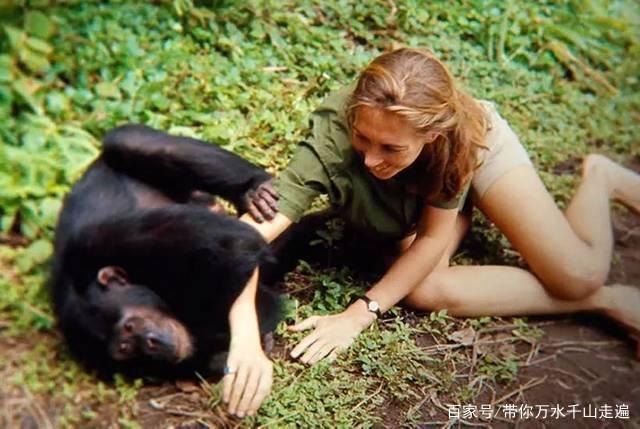 希望的理由,希望的理由小说