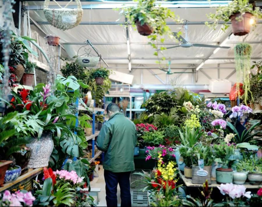 <html>
<head><title>502BadGateway</title></head>
<body>
<center><h1>502BadGateway</h1></center>
<hr><center>nginx</center>
</body>
</html>
<!--apaddingtodisableMSIEandChromefriendlyerrorpage-->
<!--apaddingtodisableMSIEandChromefriendlyerrorpage-->
<!--apaddingtodisableMSIEandChromefriendlyerrorpage-->
<!--apaddingtodisableMSIEandChromefriendlyerrorpage-->
<!--apaddingtodisableMSIEandChromefriendlyerrorpage-->
<!--apaddingtodisableMSIEandChromefriendlyerrorpage-->
