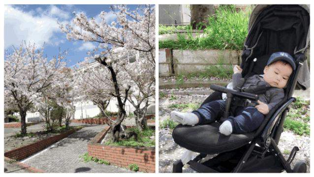 超级妈妈带娃日常生活,超级妈妈带5个孩子