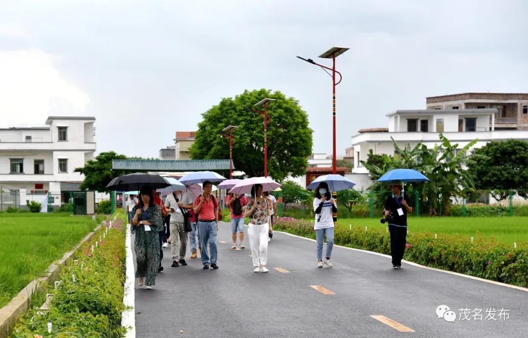 乡村振兴看辉煌,乡村振兴看东富