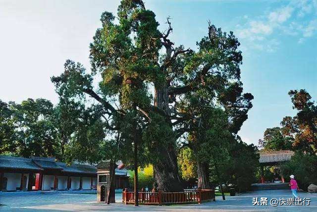 为什么陕西这么多外国人,被誉为东方金字塔的省份