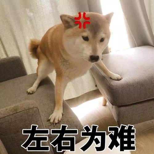 入市但真正符合大众需求的好户型,限价房500平方