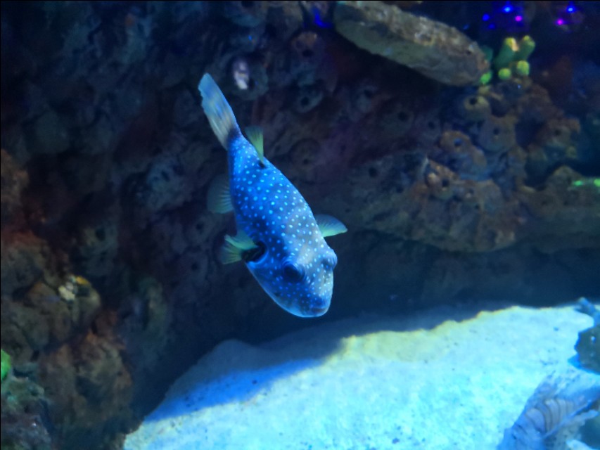 北京工体富国海底世界周一营业,北京工体富国海底世界旅馆