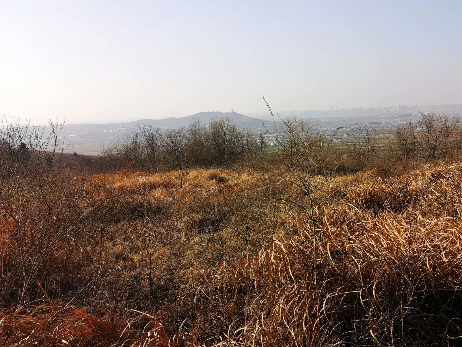 摩托周边旮旯游——探访蚌埠李楼鲁山寺遗址（上）