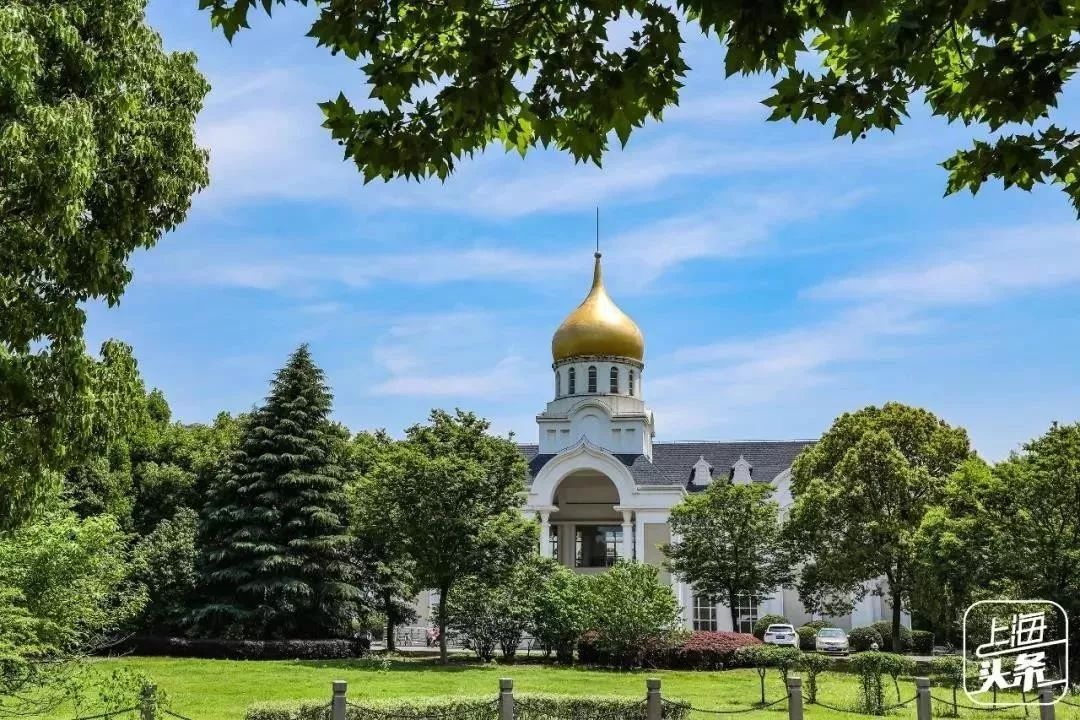 上海宋城免费景点,上海一日游攻略必去景点免费