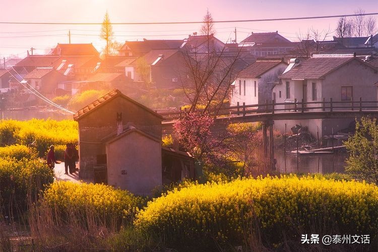 叶甸古镇仓场老街,江苏泰州姜堰叶甸仓场
