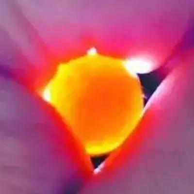 玉石界的骗局是真的吗,玉石十大骗局