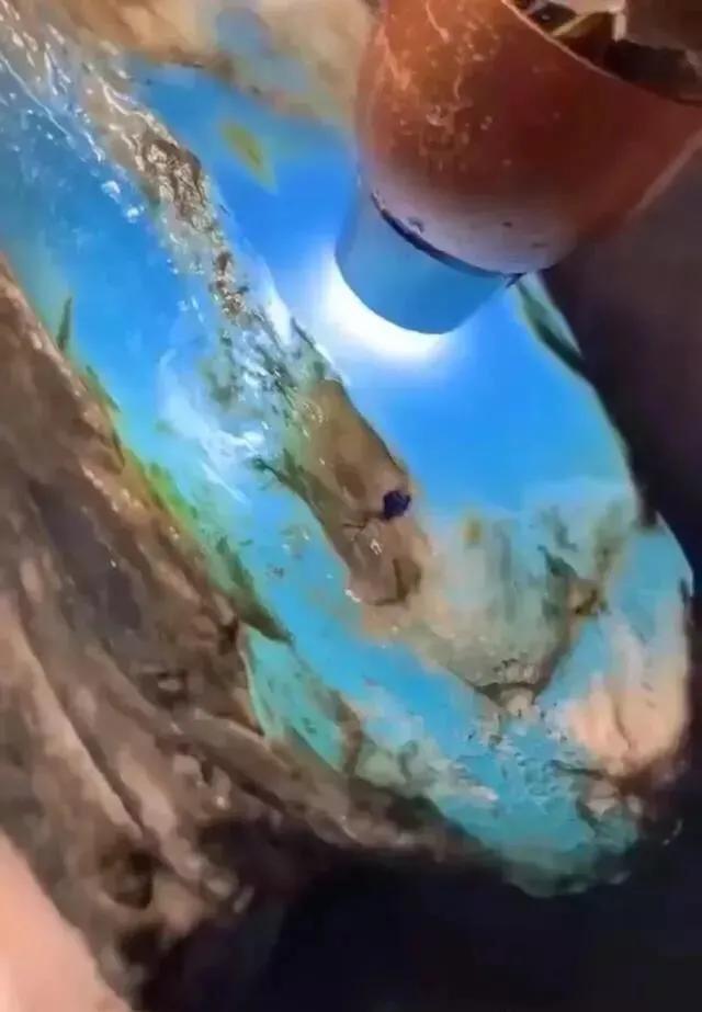 缅甸翡翠手镯批发市场价格,天然翡翠手镯正品高货缅甸