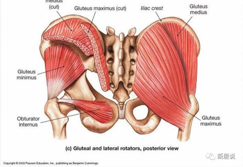 年轻人腰不好的真相终于找到了,年轻人腰不好怎么回事