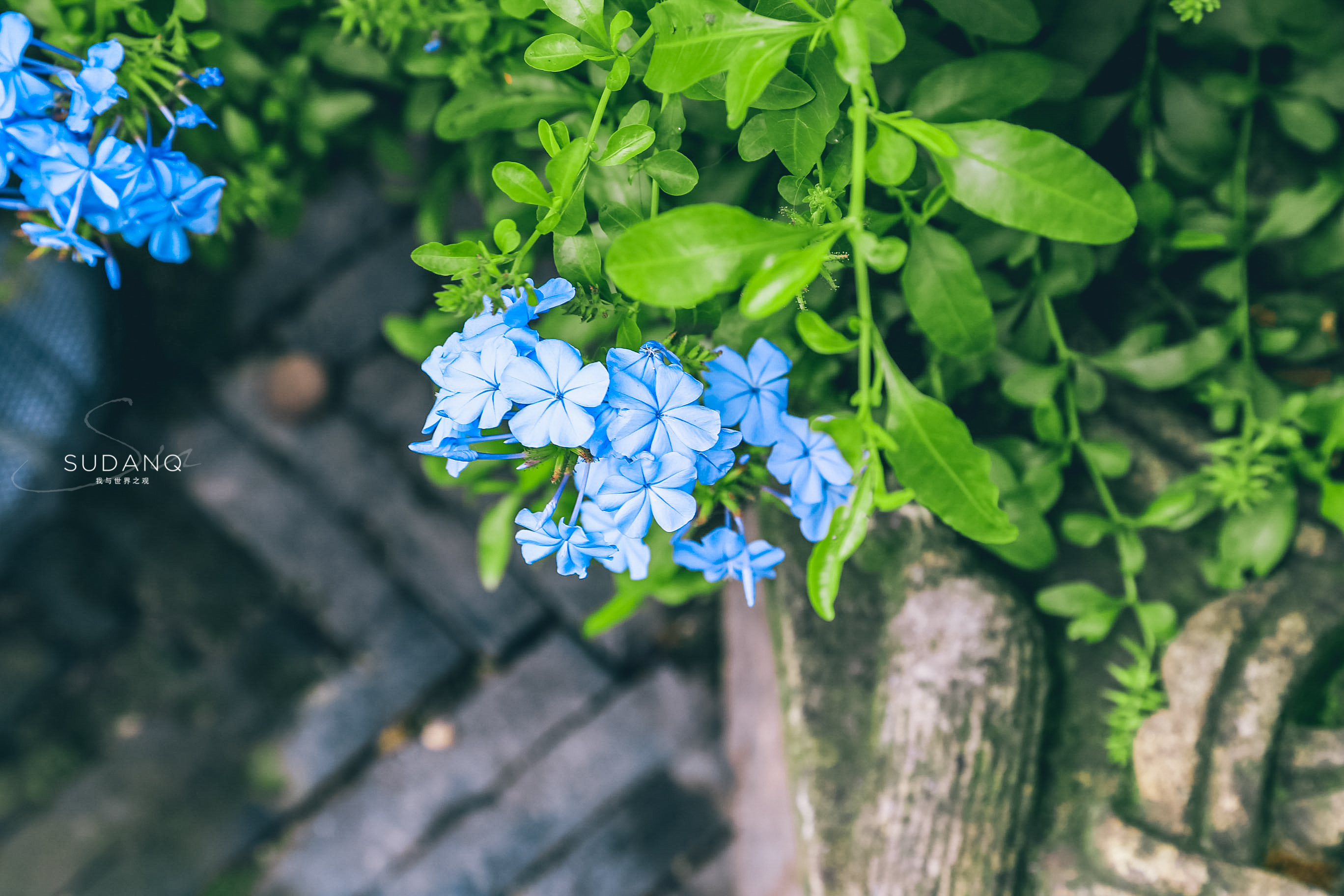 苏州最古色古香的古镇,苏州十大最美江南古镇