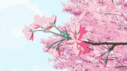 厦门婚纱拍摄地方推荐,厦门婚纱拍摄地点推荐