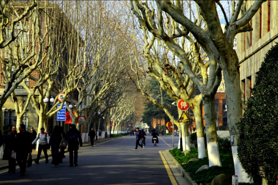 上海必去几条路攻略,上海值得去的路线